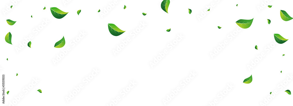 Forest Leaf Realistic Vector Panoramic White Forest Leaf Realistic Vector Panoramic White