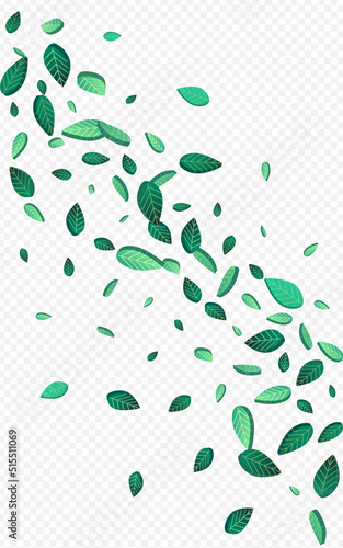 Olive Greens Organic Vector Transparent