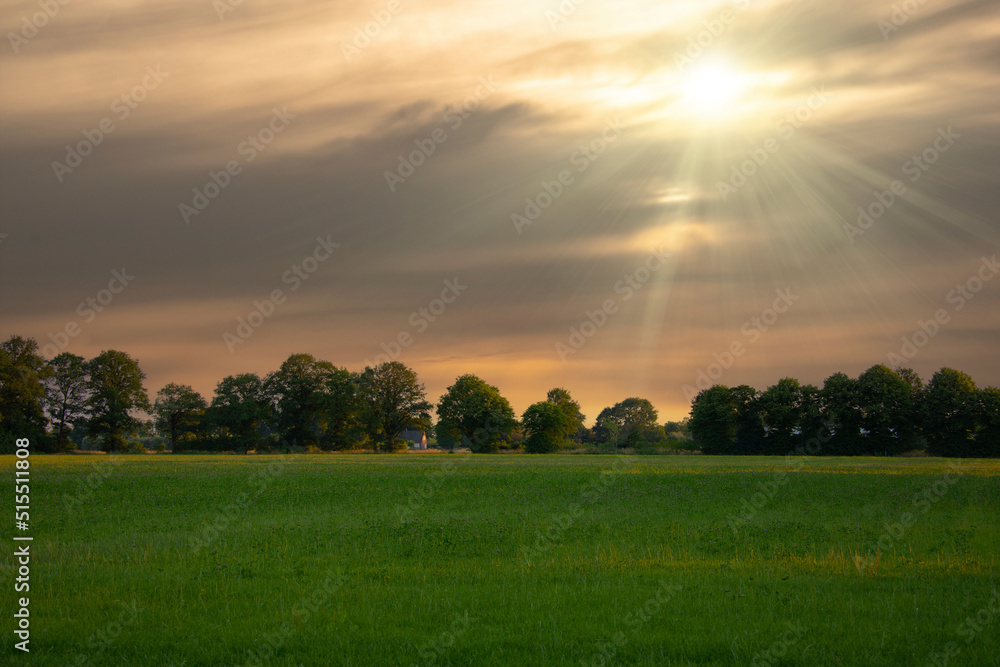 Countryside Rural Field Or Meadow Landscape With Green Grass Under Scenic Sunset Sunrise Sky. Panorama Of Agricultural Landscape.