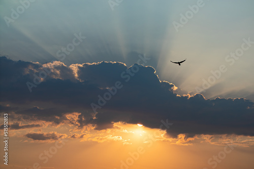 The Sun hid behind the clouds. Rays of light from the Sun. Yellow and blue. Bird in the Sky © Vlad Kazhan