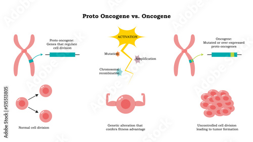 Proto oncogene versus oncogene vector illustration diagram