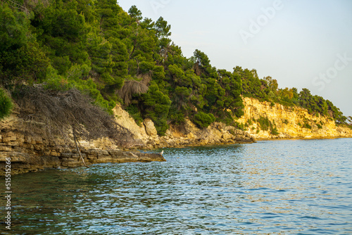Panoramic view of Chrysi Milia beach in Alonnisos island, Greece, Europe © panosk18
