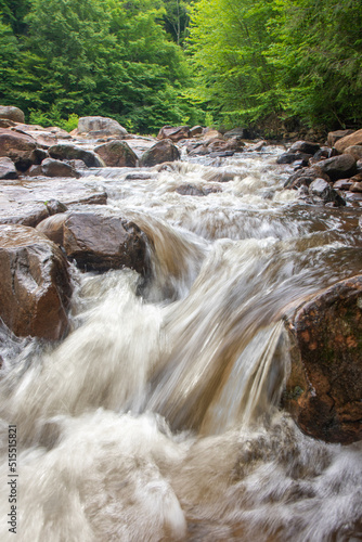 Water rushing over rocks along river rapids in forest