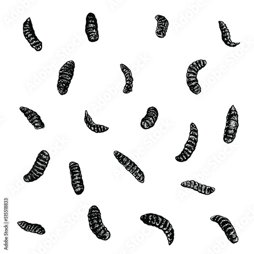 maggot hand drawing vector illustration isolated on background