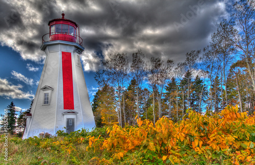 Photography lighthouse with forest