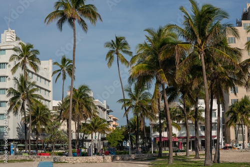 Art Deco South Beach with a group of palm trees in the foreground. © ADLC