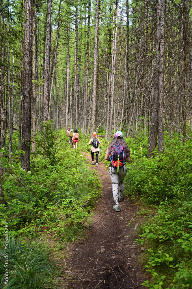 Young women hiking Stanton Lake Trail in Great Bear Wilderness, Montana on sunny summer day.