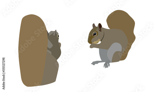 餌を食べるリス達