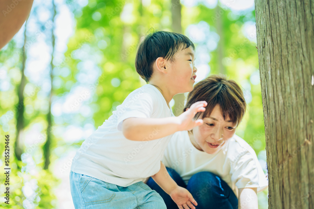 森の中を探検する男の子と親 森の中を探検する男の子と親