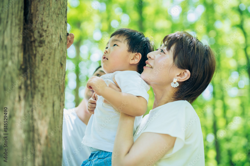 森の中を探検する男の子と親 森の中を探検する男の子と親