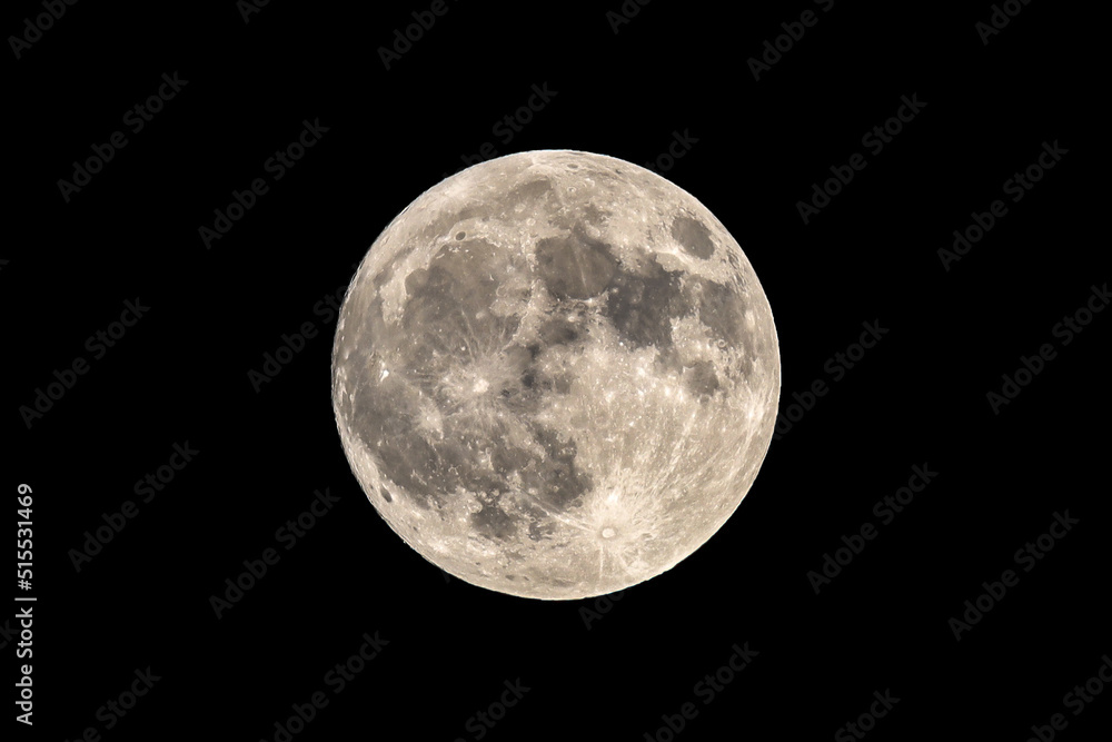 Obraz premium full moon in the night