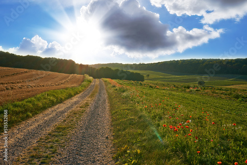 Beautiful landscape of a farm with a path at sunrise with a cloudy blue sky. Large endless land with lush green grass and red flowers growing. A hill with bright sun shining in the background