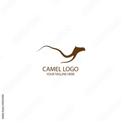 camel logo vector illustration design