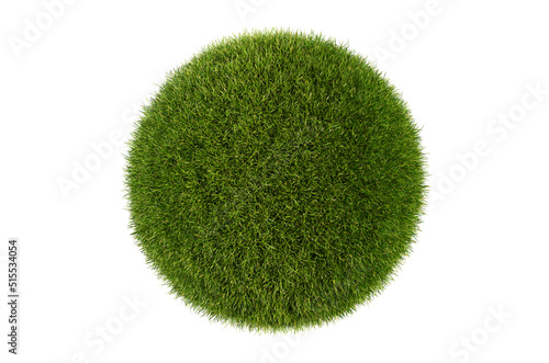 Grass sphere isolated on a white background. Grass circle, 3d rendering.