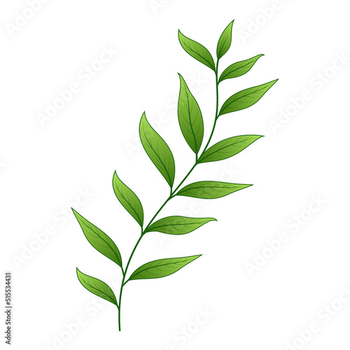 Green Leaves Isolated on White Background - Decorative Element