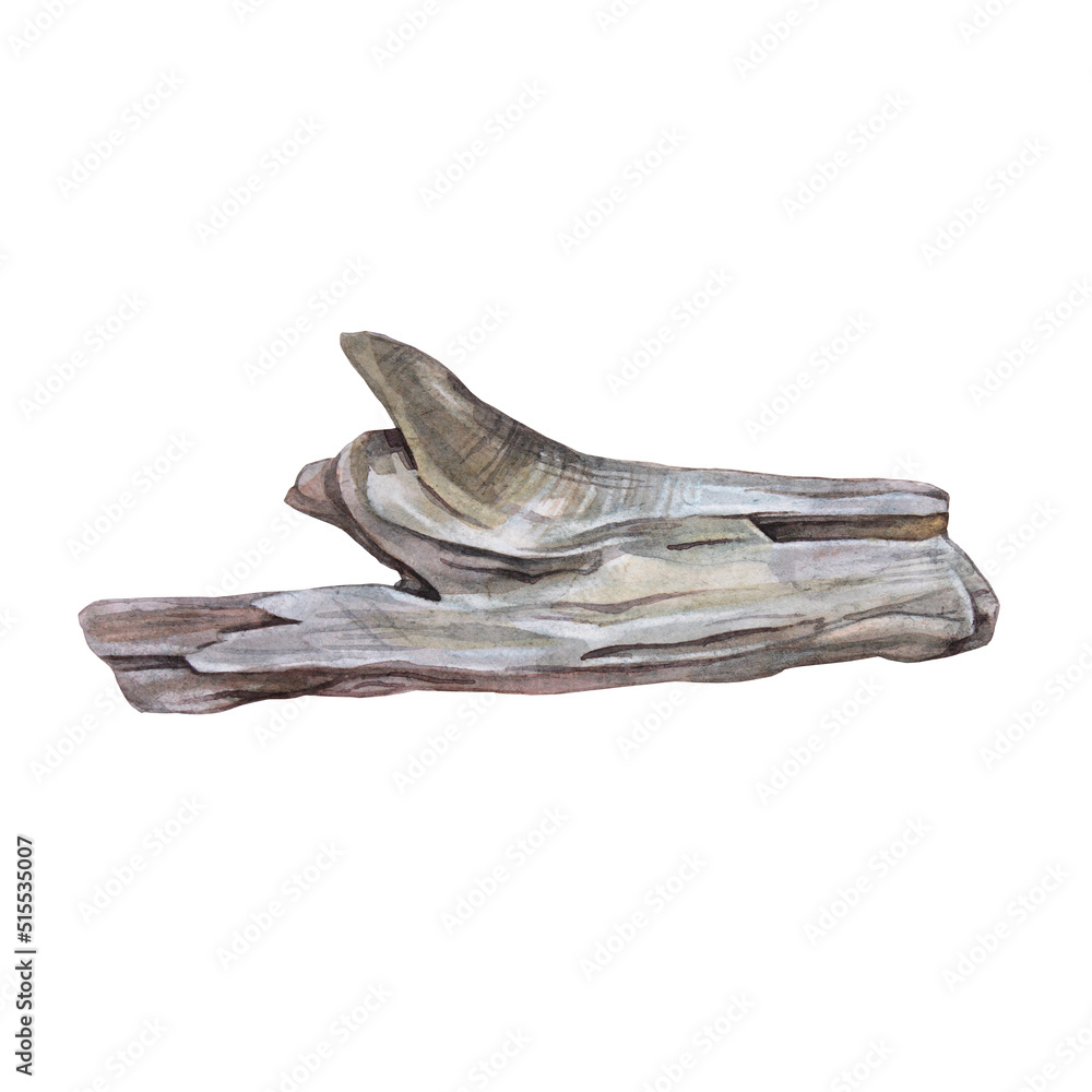 A piece of wood isolated on white background. Watercolor hand-drawn brown gray boho clipart for decor diy, sticker wedding invite. Creative sea object for sketchbook, wallpaper and wrapping A piece of wood isolated on white background. Watercolor hand-drawn brown gray boho clipart for decor diy, sticker wedding invite. Creative sea object for sketchbook, wallpaper and wrapping