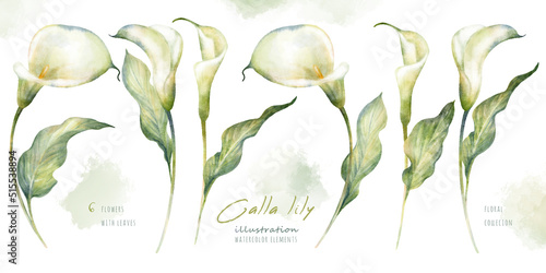 Fotografía Watercolor hand drawn floral set with delicate illustration of blossom white calla lily flowers and leaf