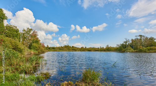 Copyspace and scenic landscape of a calm and quiet lake surround by trees and scrubs and a cloudy blue sky above in Denmark. A forest with a river and lush green plants in a remote location in nature