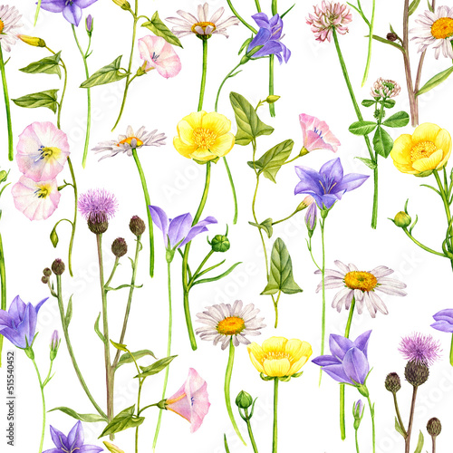 watercolor drawing seamless pattern with flowers, bindweed, field thistle, bells, buttercups and daisy at white background , hand drawn botanical illustration