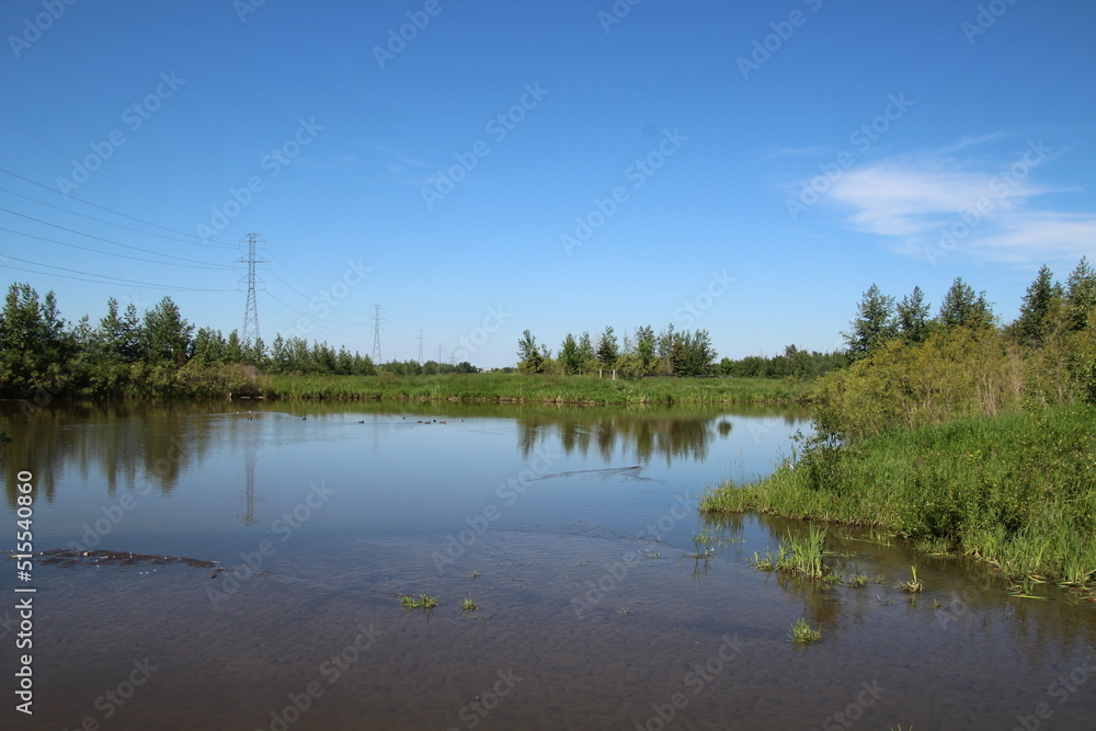reflection of trees in water, Pylypow Wetlands, Edmonton, Alberta