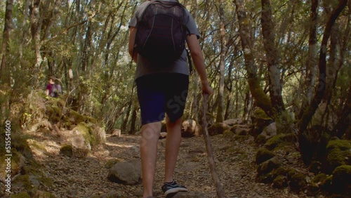 Slow motion rear view of young man walking on a trek in middle of sunny forest photo