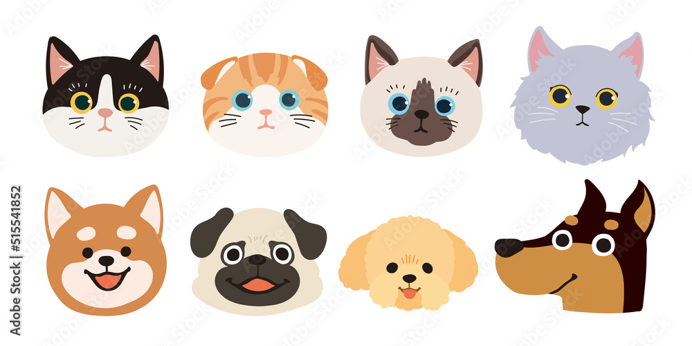 犬と猫の顔 犬と猫の顔