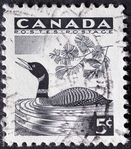 CANADA - CIRCA 1957: a postage stamp from CANADA , showing a duck for National Wild Life Week 1957. Circa 1957.