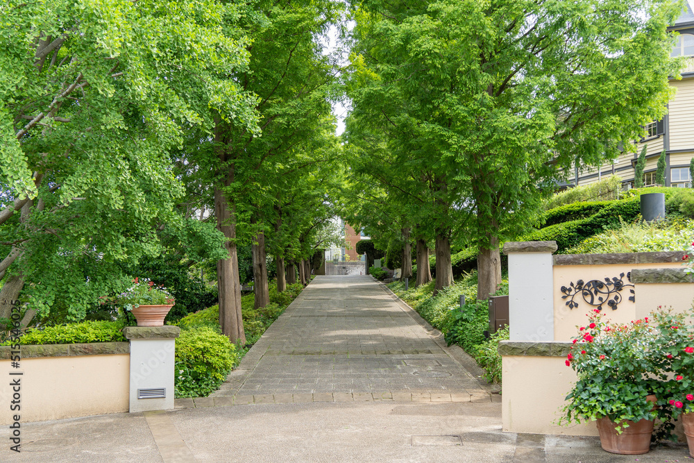 横浜山手の庭園への通路
