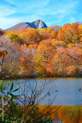 鎌池　雨飾山　紅葉　秋　妙高戸隠連山国立公園　池　森林　湖畔　ブナの木　長野県小谷村　日本百名山 photo