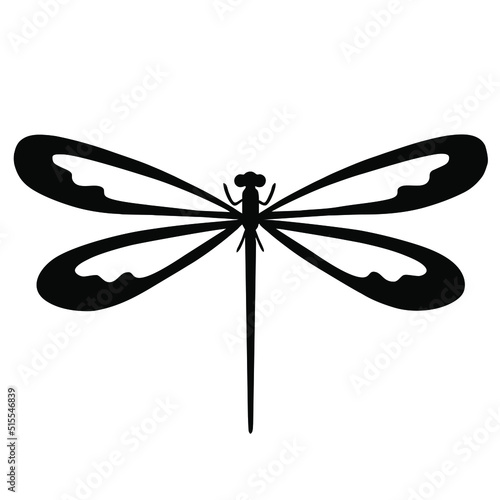 dragonfly isolated on white