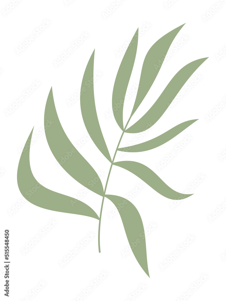 Exotic leaves vector sketch. Hand drawn green flat tropical branch icon isolated. Floral design for print, background, banner, card. Ecology symbol, environment concept, eco sign, hipster logo. Exotic leaves vector sketch. Hand drawn green flat tropical branch icon isolated. Floral design for print, background, banner, card. Ecology symbol, environment concept, eco sign, hipster logo.