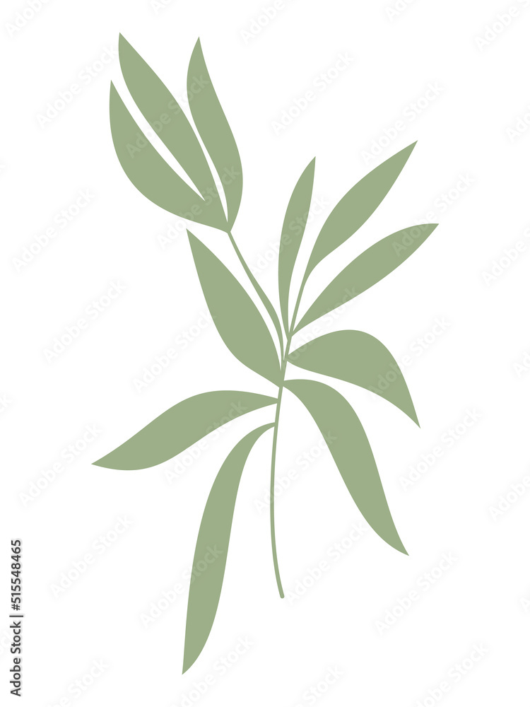 Fototapeta premium Hand drawn green leaves vector illustration. Abstract branch icon isolated. Floral design for print, background, banner, card. Ecology symbol, environment concept, eco sign, hipster logo.