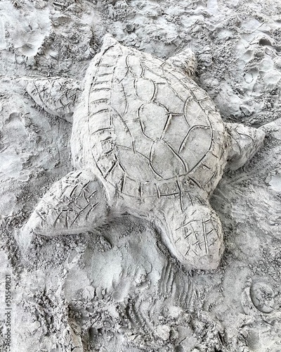 tortuga