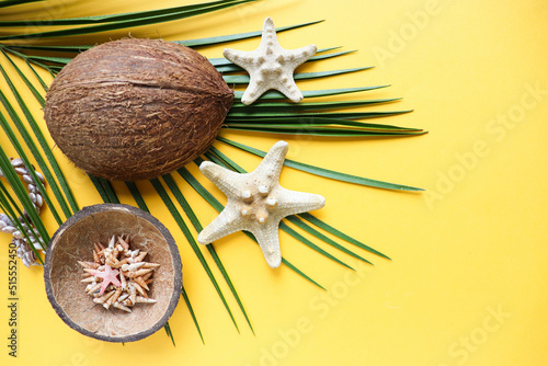postcard mockup. palm tree branch with sea shells and coconut