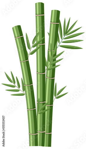 Fotografia Isolated bamboos on white background