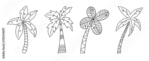 Hand drawn palm trees doodle set. Set of hand drawn coconut tree Isolated on white background. vector illustration