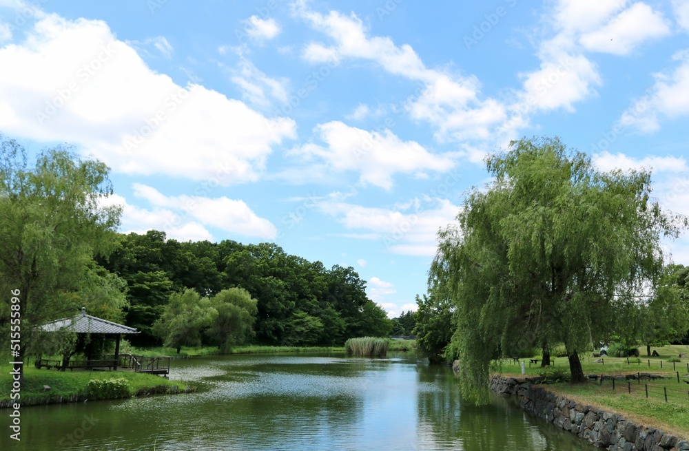 緑と青空が気持ち良い夏の公園　風景　古河