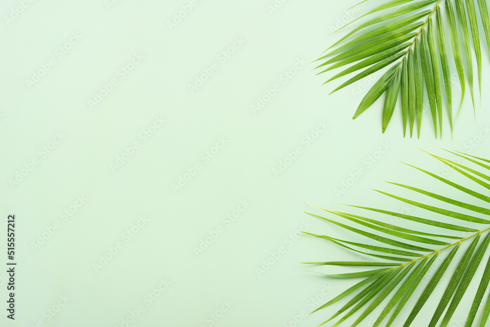 Image of tropical green palm over pastel background Image of tropical green palm over pastel background
