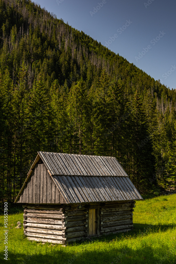 Hut in Chocholowka Valley in tatra National Park mountains in Poland near Zakopane
