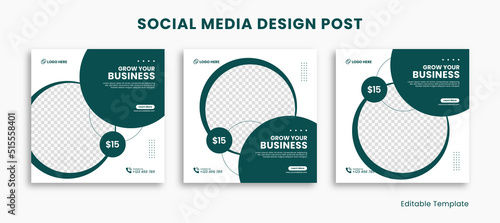 Set of Editable Social Media Instagram Design Post Template, With Rounded Rectangle Design Green and White Color. Suitable For Social Media Post, Ads, Promotion Product, Business, School, Health