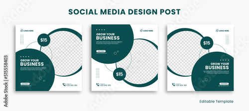 Set of Editable Social Media Instagram Design Post Template, With Rounded Rectangle Design Green and White Color. Suitable For Social Media Post, Ads, Promotion Product, Business, School, Health