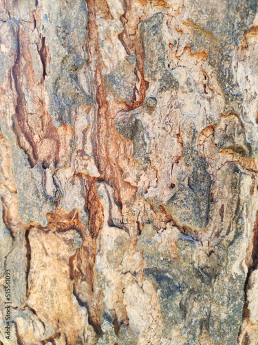 brown bark gives a classic feel background decoration