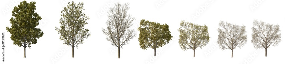 Multi-season trees on a white background. Multi-season trees on a white background.