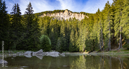 Fototapeta Naklejka Na Ścianę i Meble -  Lake with clear water and stone shore in spruce forest with fir trees against a daytime sky