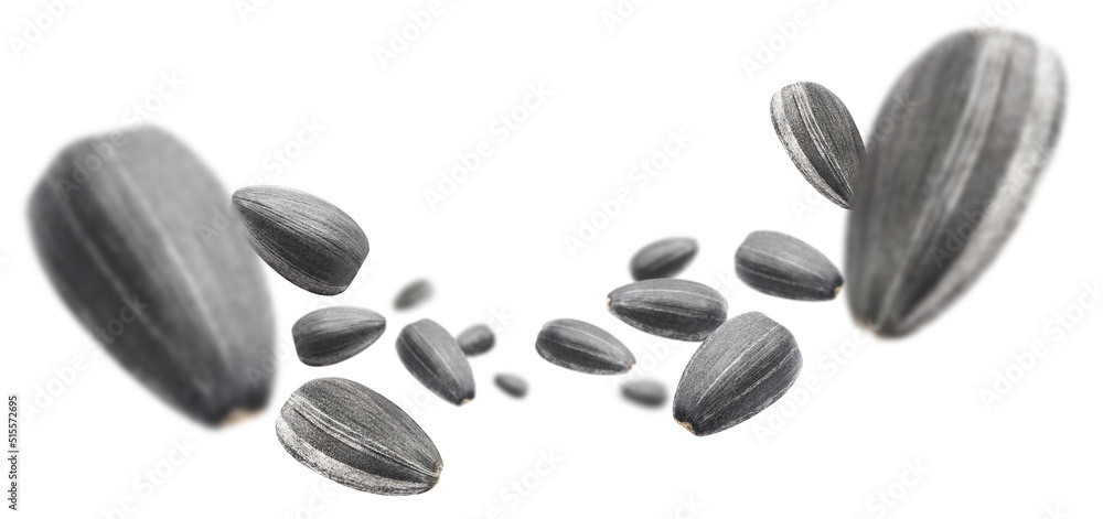 Flying sunflower black seeds, isolated on white background Flying sunflower black seeds, isolated on white background