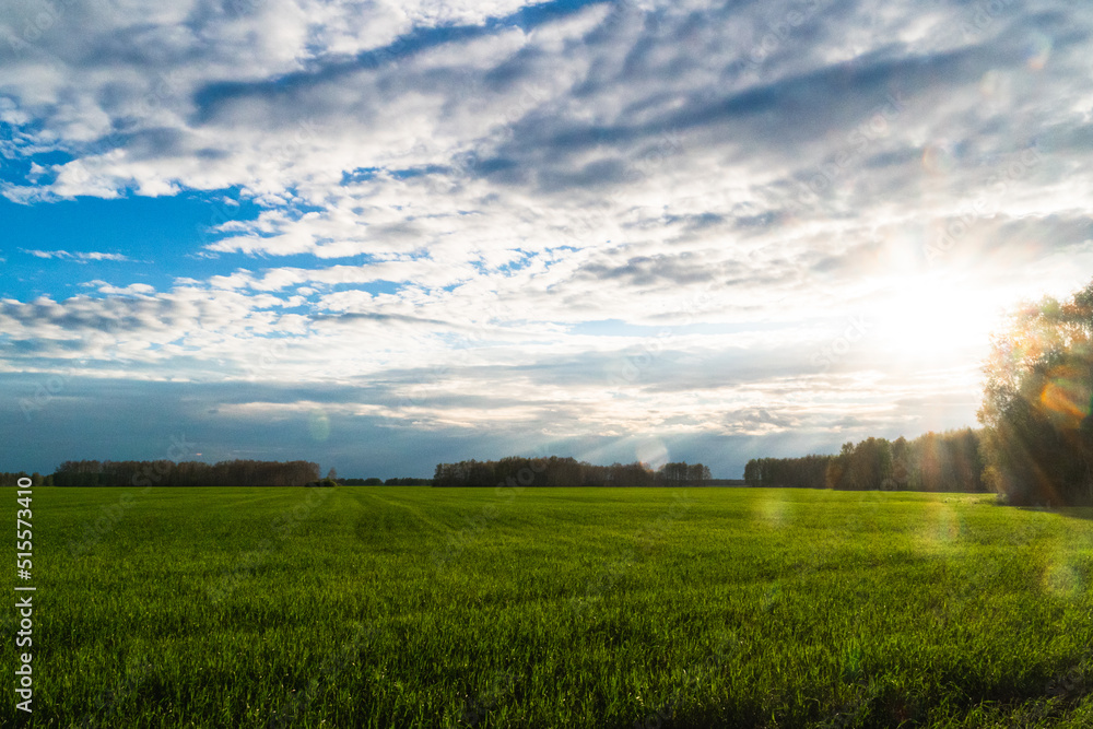 green field and sky