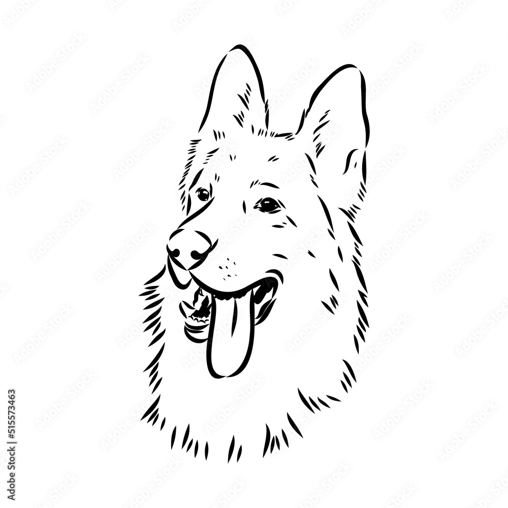 pedigree dog drawn in ink by hand without a background pedigree dog drawn in ink by hand without a background