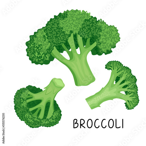 Vector illustration of whole green broccoli, half bunch of broccoli and lettering in flat style isolated on white background.