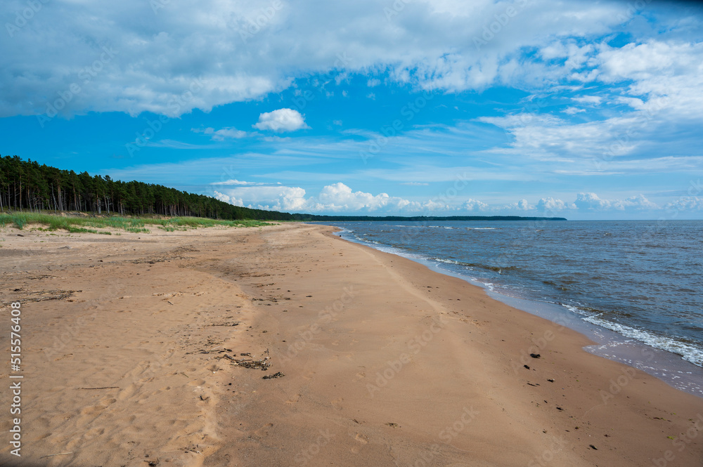 Sandy beach, sea and coniferous forest