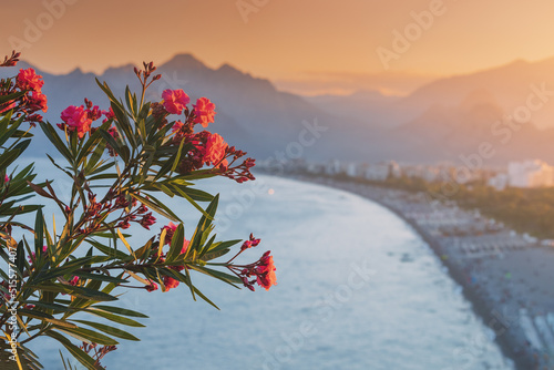 Fototapeta Naklejka Na Ścianę i Meble -  Popular Konyaalti beach in Antalya resort town. Blooming Bougainvillea in the foreground. Majestic mountains with haze in the background. Vacation and holiday in Turkiye